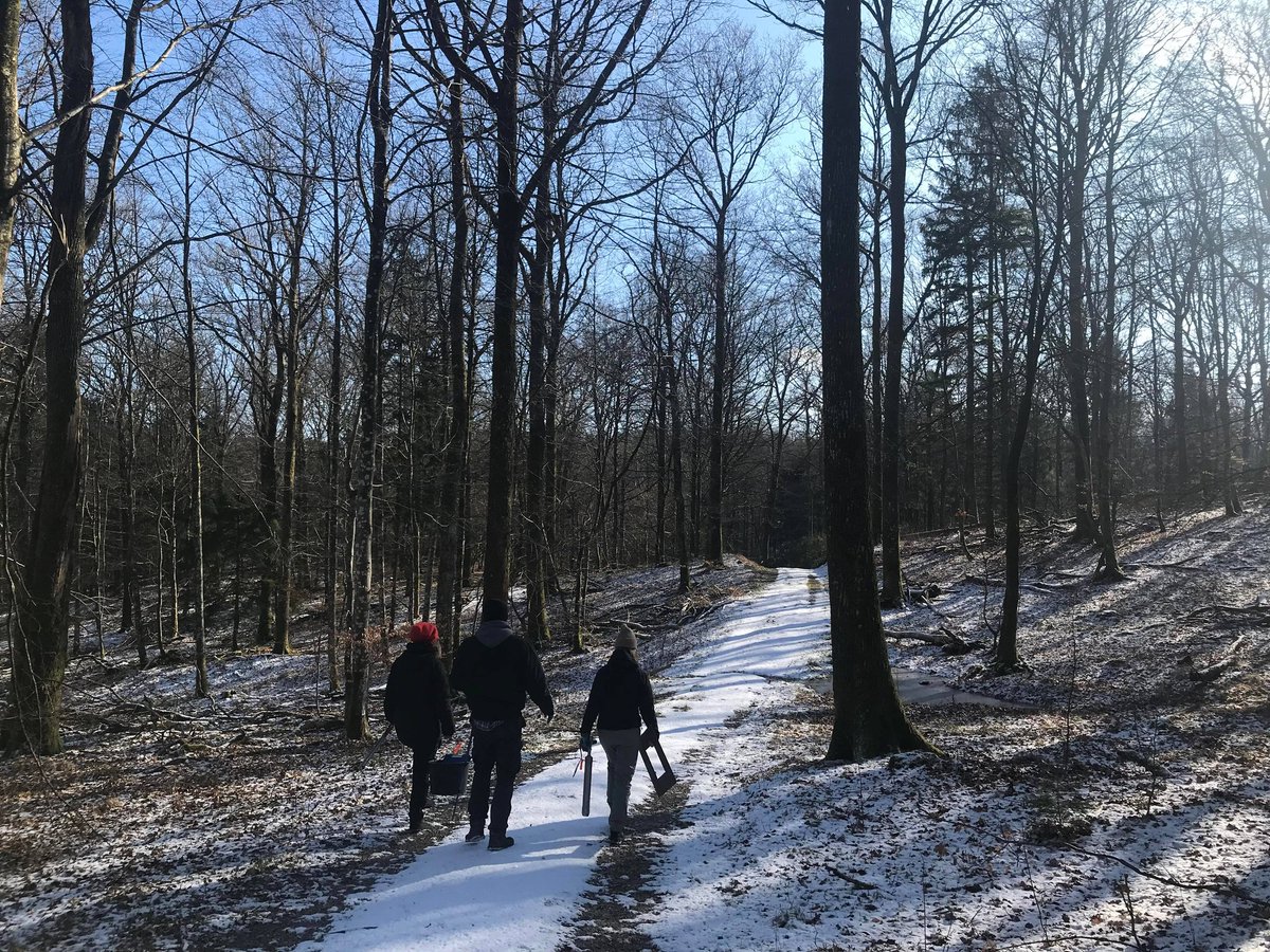 SilvaNova_NNF's tweet photo. @SaschaHansen12 @DavideBarsotti and our 2 students just wrapped up 3 days of #fieldwork measuring #carbon stocks in plantations and #oldforests. Cold &amp; sunny days outside are the best: even the students loved it! ☀️
#afforestation #research @novonordiskfond https://t.co/YkVQRspr7N