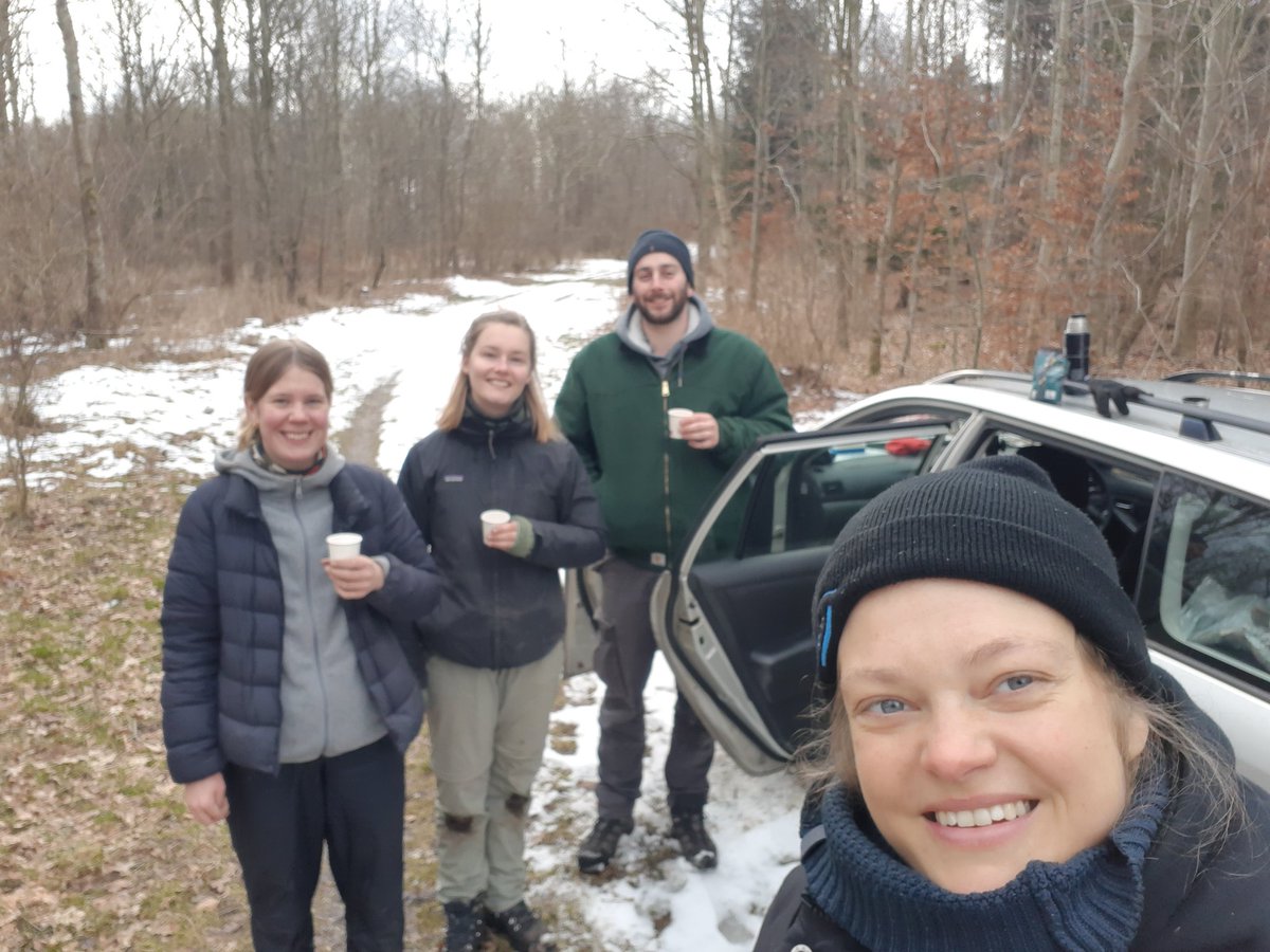Silva Nova (@silvanova_nnf) on Twitter photo <a href="/SaschaHansen12/">SaschaHellmann</a> <a href="/DavideBarsotti/">DavideBars</a> and our 2 students just wrapped up 3 days of #fieldwork measuring #carbon stocks in plantations and #oldforests. Cold & sunny days outside are the best: even the students loved it! ☀️
#afforestation #research <a href="/novonordiskfond/">Novo Nordisk Foundation</a> <a href="/SaschaHansen12/">SaschaHellmann</a> <a href="/DavideBarsotti/">DavideBars</a> and our 2 students just wrapped up 3 days of #fieldwork measuring #carbon stocks in plantations and #oldforests. Cold & sunny days outside are the best: even the students loved it! ☀️
#afforestation #research <a href="/novonordiskfond/">Novo Nordisk Foundation</a>
