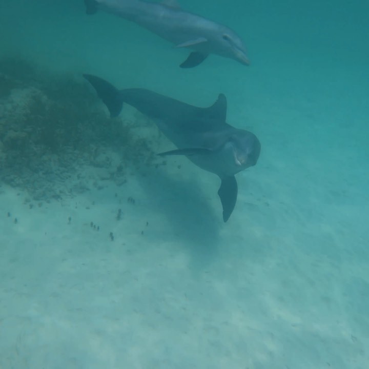 HarbAzim1's tweet photo. like the sea https://t.co/oYadW5cwfC