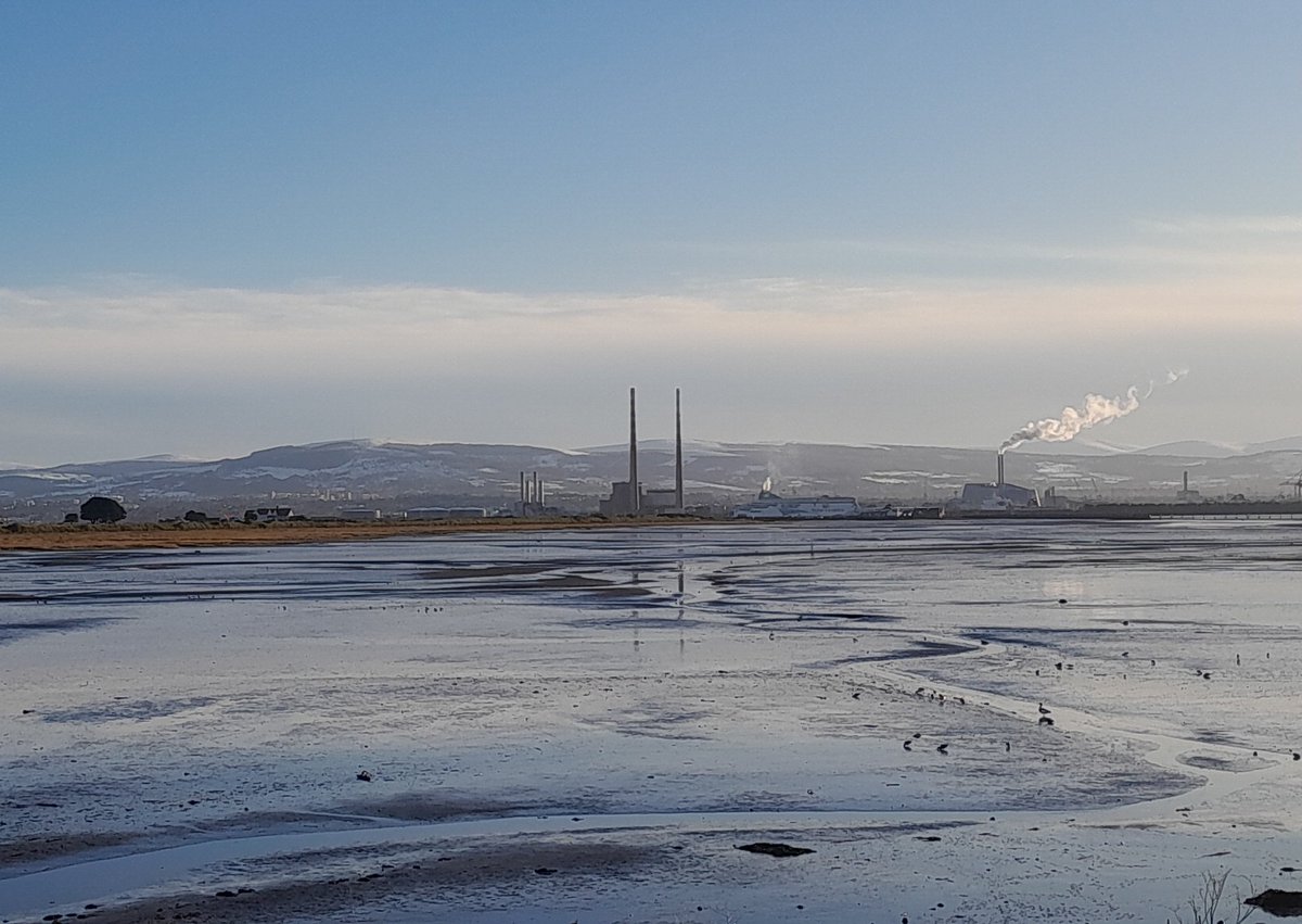 Day 69 of #100daysofwalking end of another busy week.. enjoyable walk in fab spring evening light.. #BullIsland #DublinBay