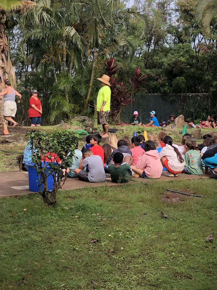 #WeblingEl ,Last day Lo’i project.  Planting of the new kalo for next years harvest.  Mahalos to Gr. 4 teachers, parent volunteers, and students for you support of the Lo’i.  #NaPueo , #HawaiianCulture