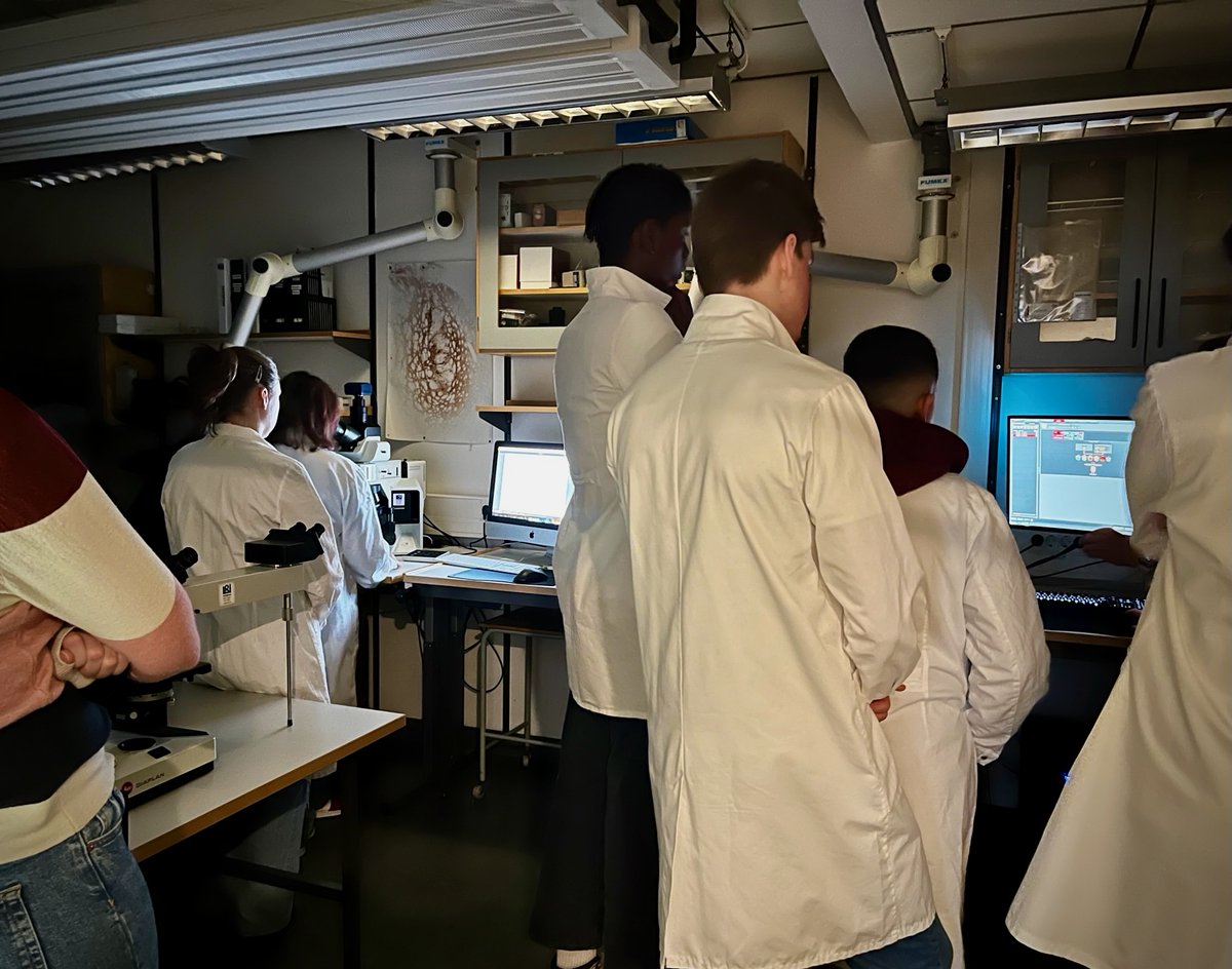 Lund Stem Cell Center tweet media