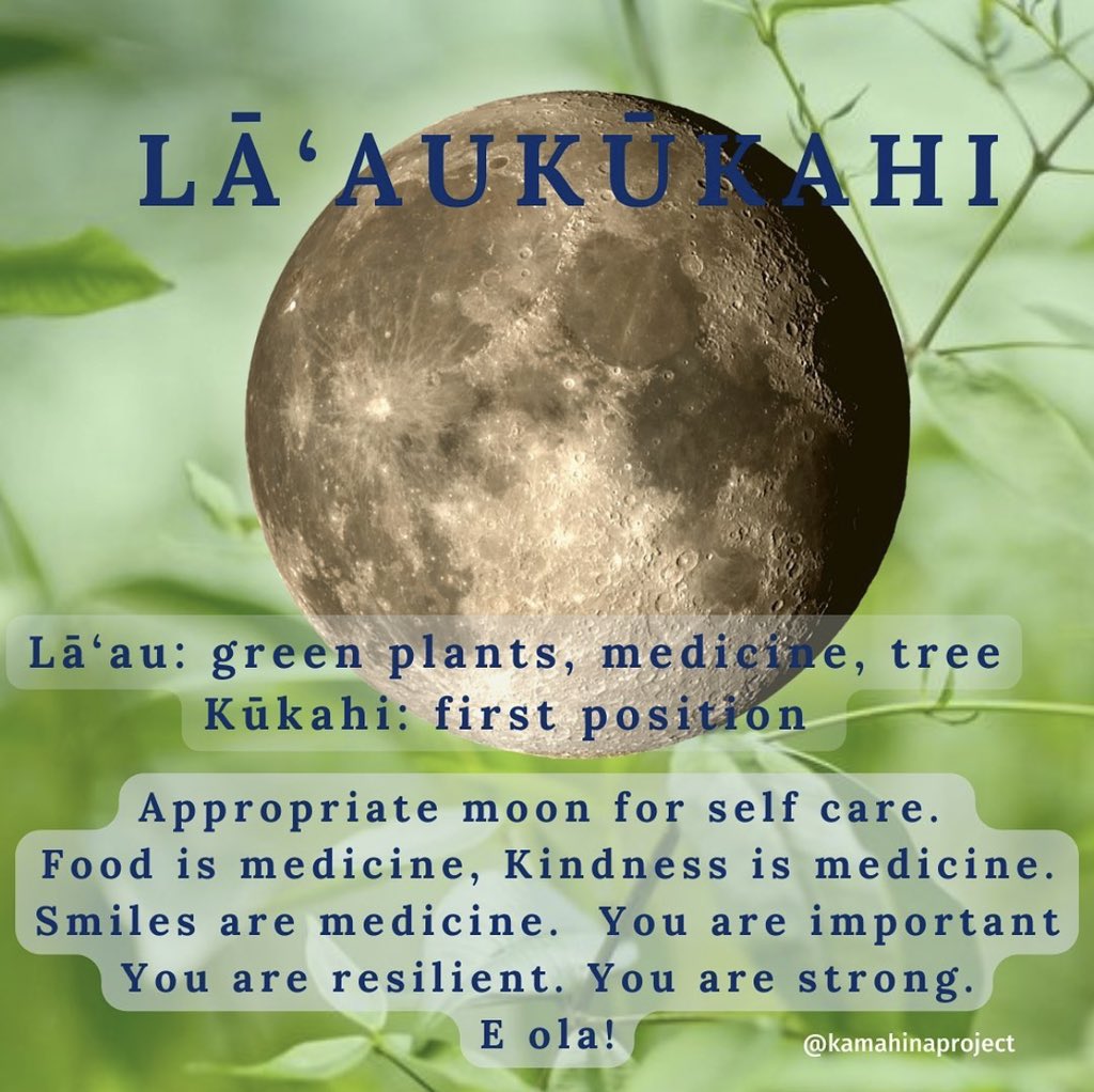 Self care, healing, Aloha, all good things to do today &amp; tonight.  

#lāaukūkahi #lāau #healing #health #life #love #aloha