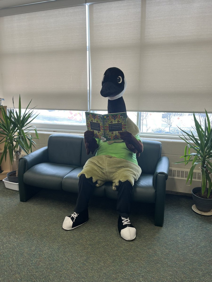 LLC at Edenbrook Hill tweet media