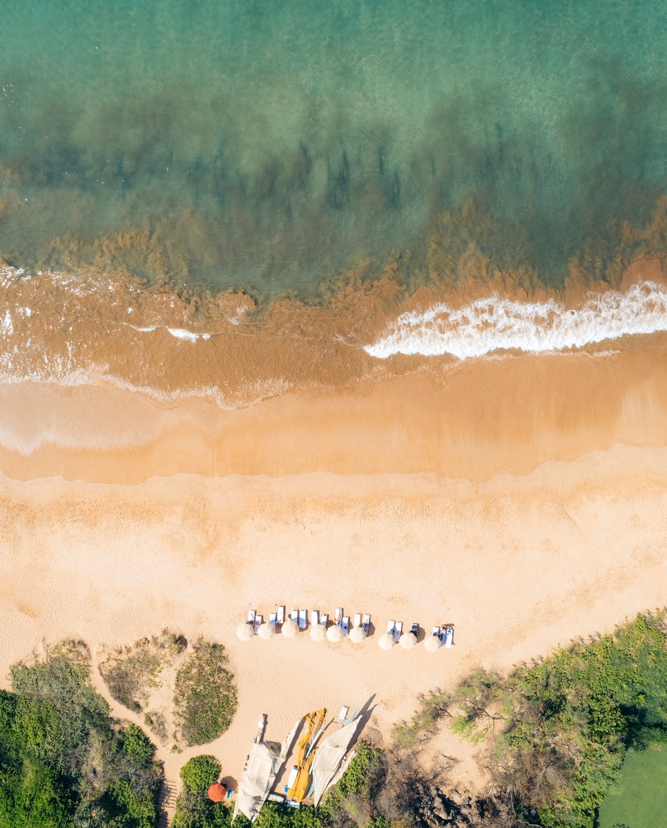 Experience Wailea Beach to the fullest with our beach valet services. 🏖️☀️ 🌊

Our friendly staff is pleased to provide you with beach chairs, towels, umbrellas, and water, as well as a selection of watersports equipment for rent.

#hotelwailea #relaischateaux