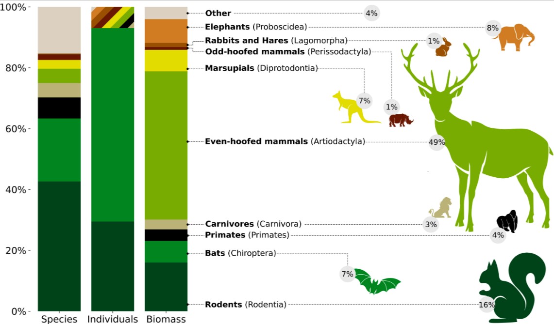 The global biomass of mammals is unknown, despite their diversity and conservation status. A holistic view of wildlife can be gained by analyzing their absolute biomass and distribution across taxa and continents. In Phys: ow.ly/jqpL50NaUna In PNAS: ow.ly/jC4k50NaUn8