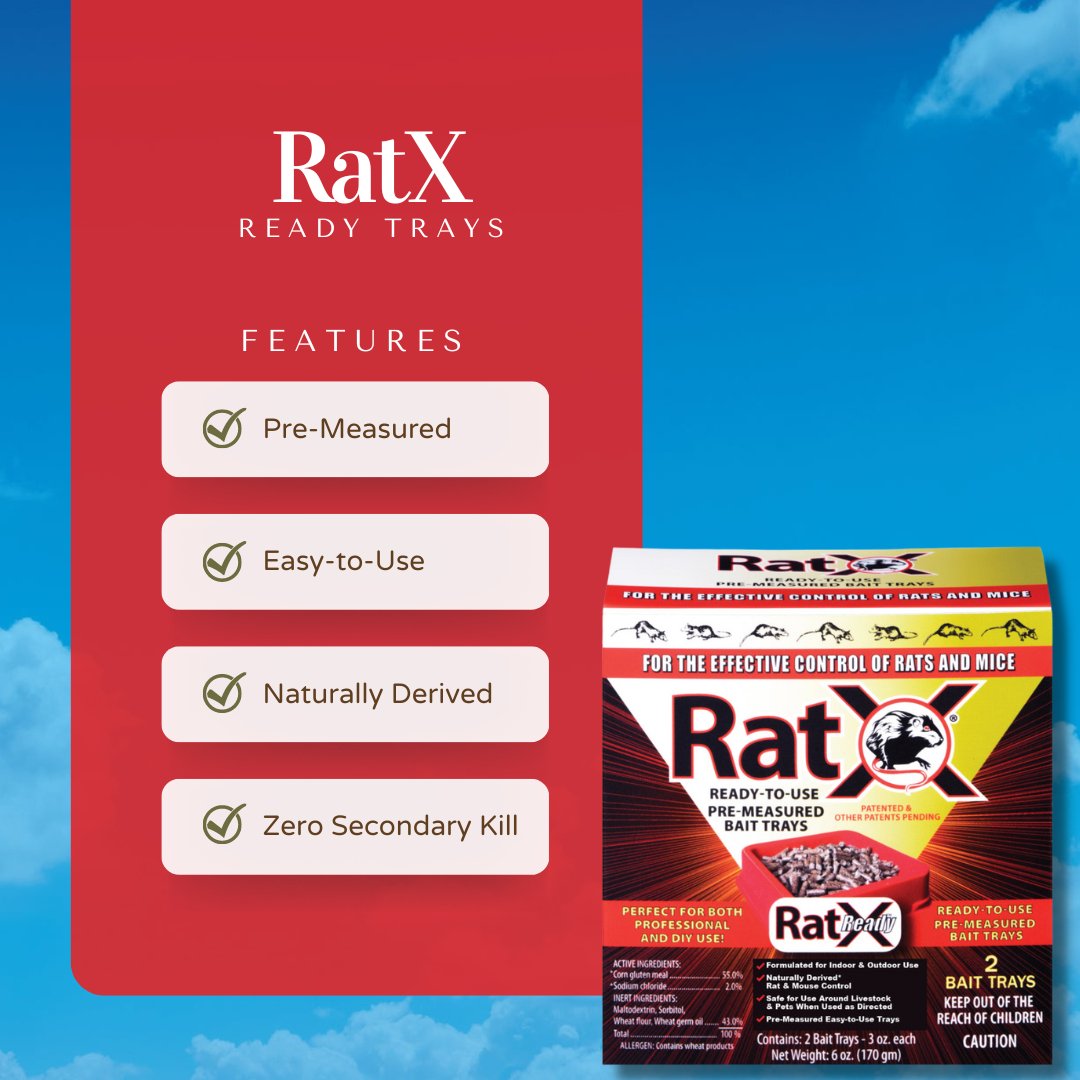 Ready to remove rats the easy way? Try our RatX® Ready Trays. 

Just peel off the bait tray cover and set the RatX® Ready Trays where you see signs of activity. It's that easy! 

Removing your rat problem is just a click away: 
ecoclearproducts.com/products/ratx-…