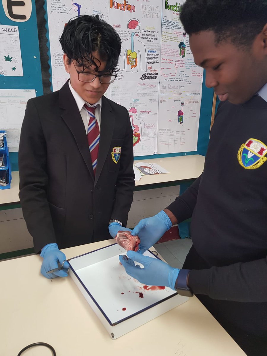 Harlaw Science tweet media