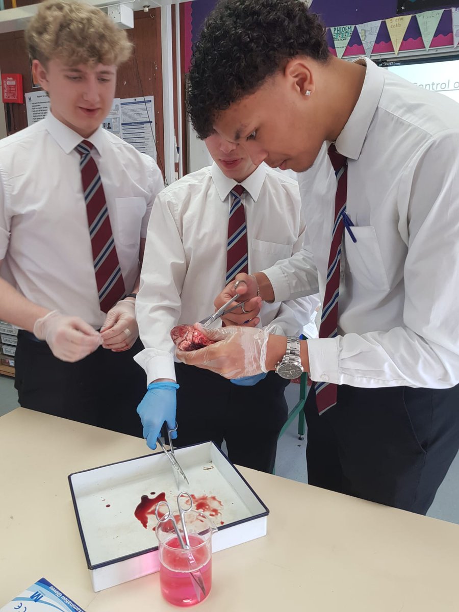 Harlaw Science tweet media