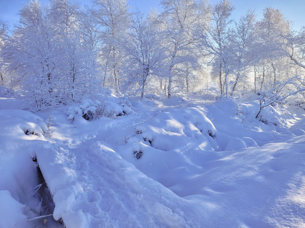 Klirrende Kälte, frostige Schönheiten und ein strahlend blauer Himmel begleiteten uns auf unserer Schneewanderung im Hohen Venn. Das größte Hochmoor Europas begeisterte uns mit einem unglaublichen Winterwonderland. #Ardennen #Belgienwandern #Eifel

ausgelatschte-schuhe.de/hohes-venn-wan…