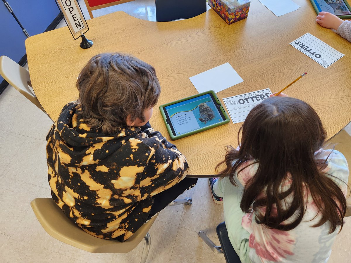 David_Bolton111's tweet photo. Class buddies in grades 1 and 3 work together to learn new facts about otters as part of Bedminster's One School One Book initiative. Great to see students working together.
@pennridgesd https://t.co/AElolPKCbA