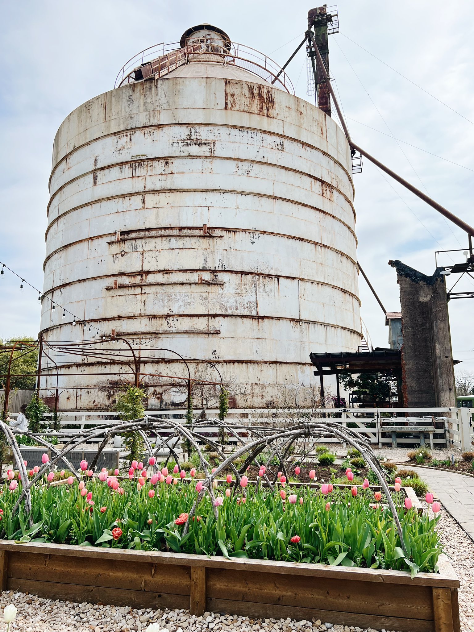 Joanna Gaines on Twitter see us this weekend (or next!) for our