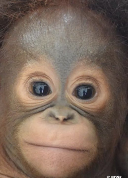 crazy azz orange boy tweet media