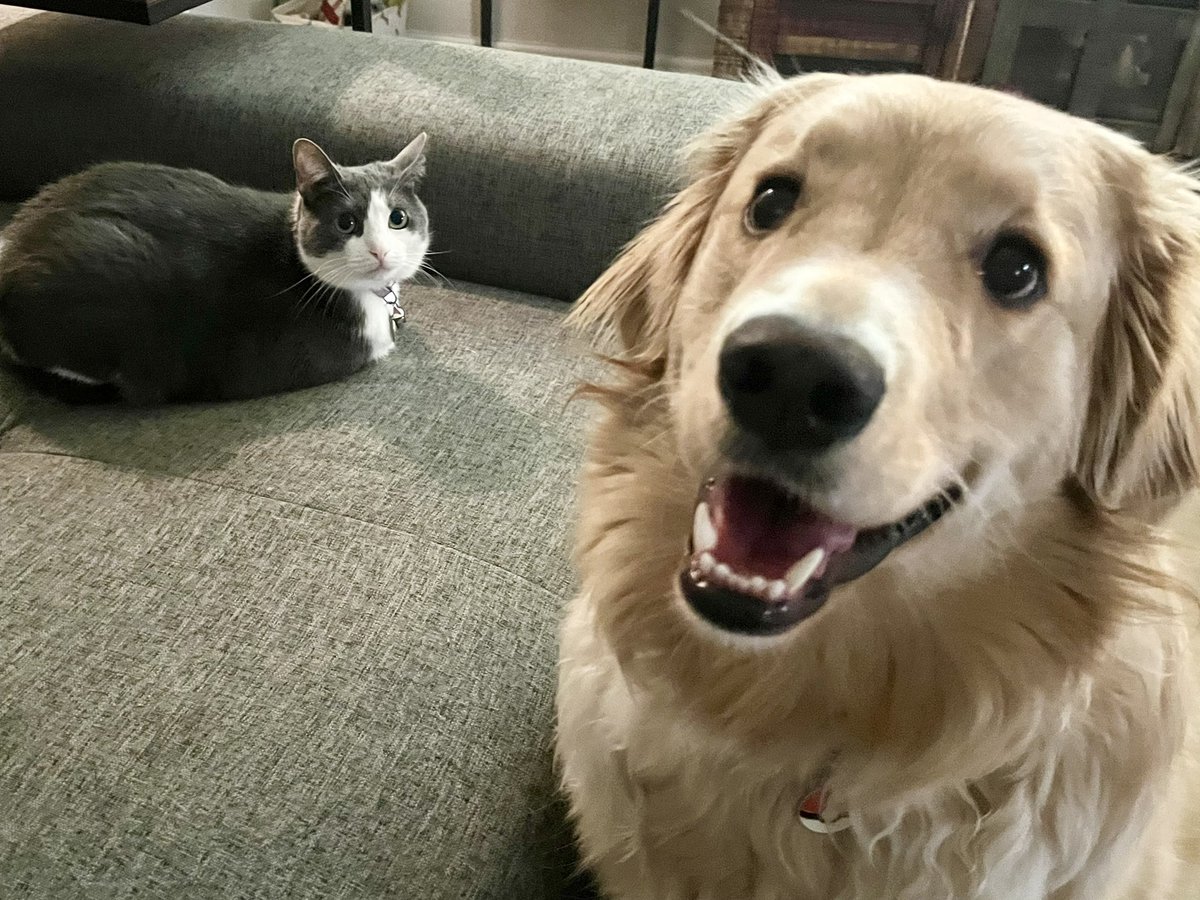 These two are ready for Spring Break 😎