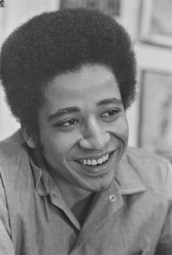 “One primary aim of the fascist arrangement is to extend and develop this new pig class, to degenerate and diffuse working-class consciousness with a psycho-social appeal to man’s herd instincts.” - George Jackson, 1972.