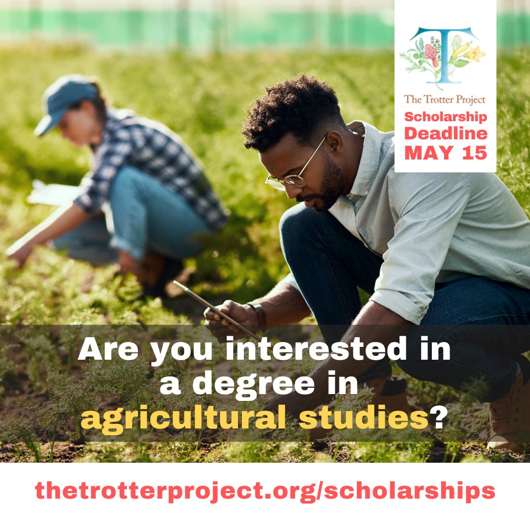 The Trotter Project tweet media