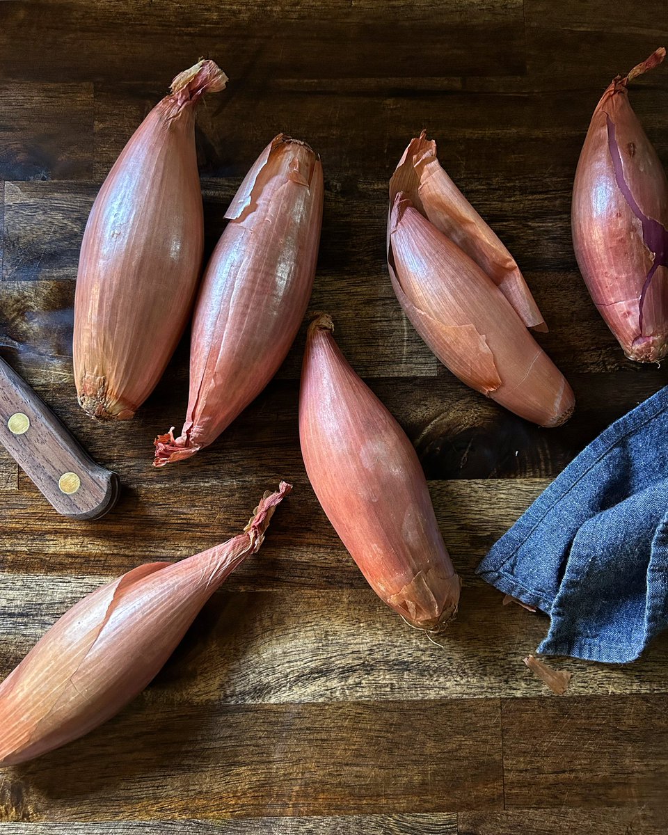 thesaltedtable's tweet photo. Pickling some shallots for a salad situation. #cookingwithtst https://t.co/zTxUnWFoYG