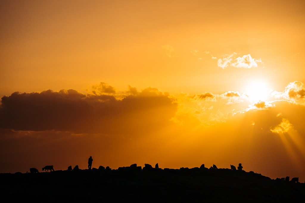 AdamDCohn's tweet image. Crews of women making sun-dried tomatoes in Egypt, Temples in Luxor, Desert Colors in Jordan    14 #photos ift.tt/VCF4LIs #Egypt #Luxor #labor #desert #travelphotography #sonyphotography