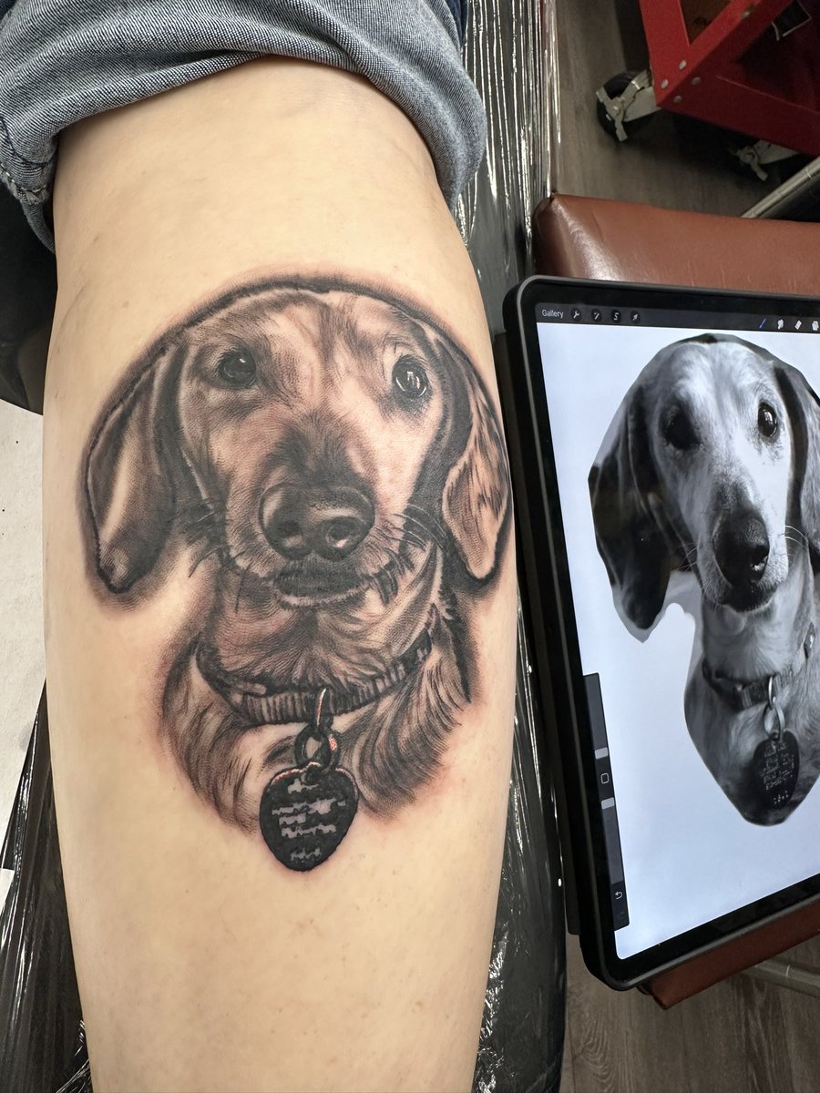 mo_ink816's tweet photo. Did this Dog portrait #tattoo recently.
Now Booking for April
#art #ink #dog #DogLovers #INKED #Blackartist #snow https://t.co/aTtjbSK3EA
