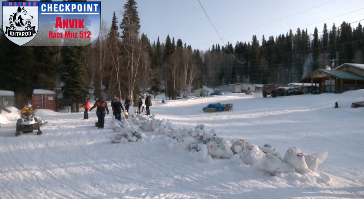 FionaWonderCat's tweet photo. And we have Anvik! ...Sort of ๐
They sang Happy Birthday to #MatthewFailor as he arrived
#MusherTwitter #Iditarod51 https://t.co/FJpH1oaluj