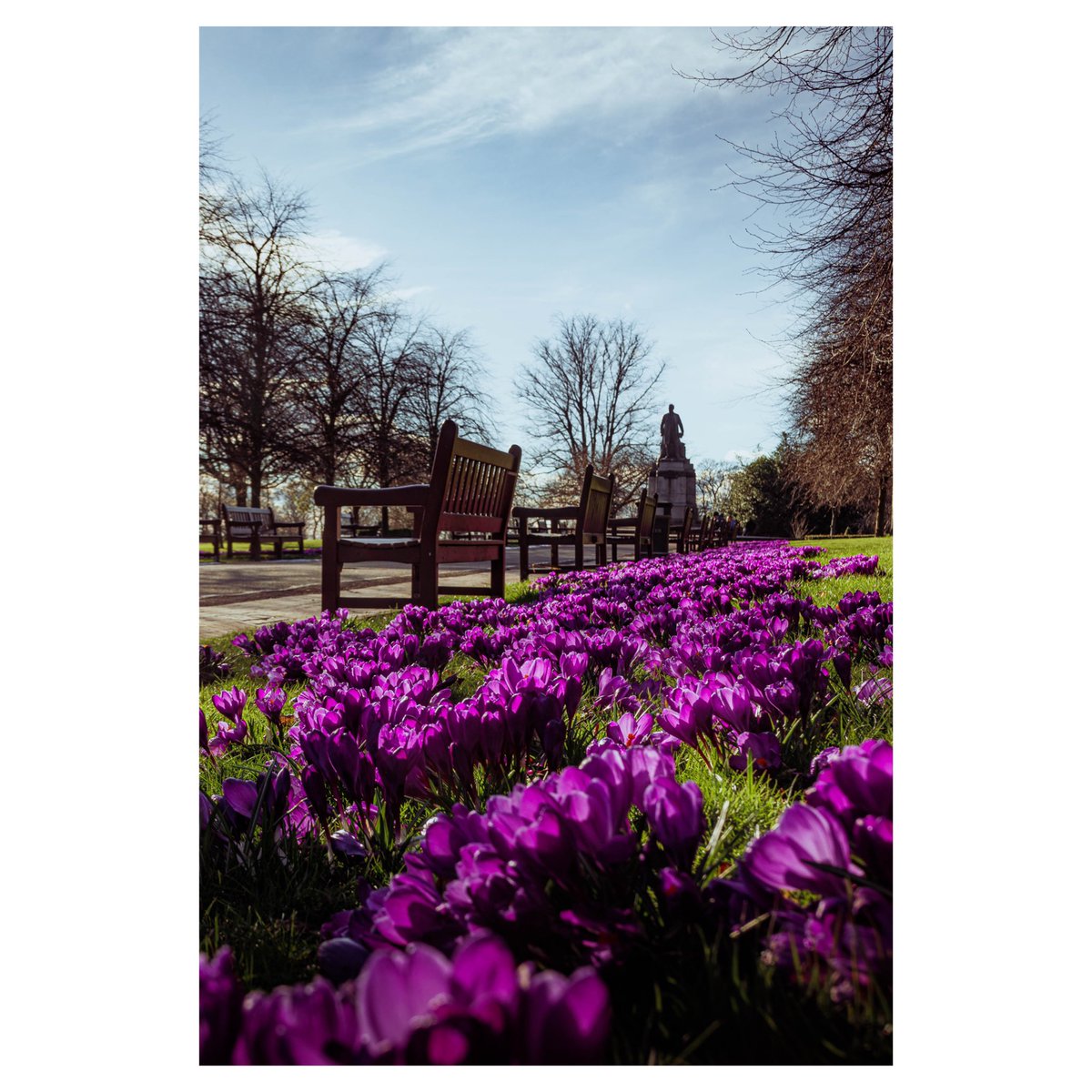 panickprints's tweet photo. Spring has arrived in Pittencrieff Park! 😍 #Spring #Dunfermline #Fife #VisitScotland  #VisitDunfermline #Nature #Photography https://t.co/3BiTg22cfb