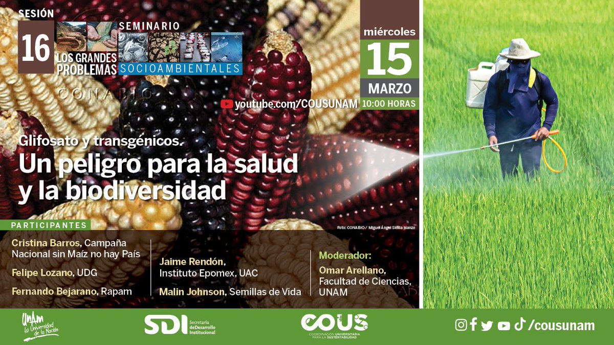cousunam's tweet photo. 🔴Glifosato y transgénicos. Un peligro para la salud y la biodiversidad.
Participan: Cristina Barros, @cn_maiz 
Felipe Lozano, @udg_oficial 
Fernando Bejarano, #Rapam
Jaime Rendón, @epomex
Malin Johnson, @_SemillasdeVida
Moderador: Omar Arellano, @fciencias https://t.co/bVCc3Bs7vq