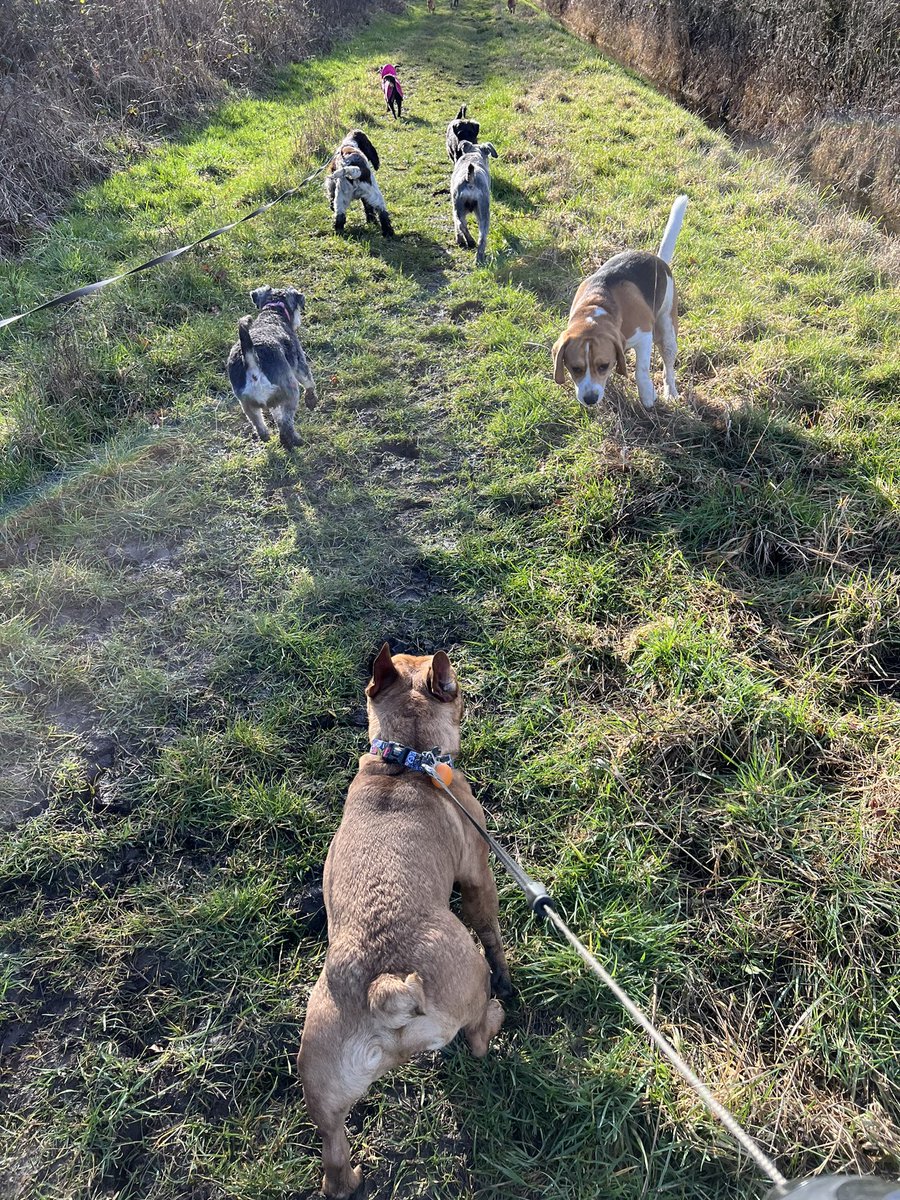 We have availability for Individual walks and group walks in Goole and the surrounding area!! Your furry friend will have a great time guaranteed!🐾
Get in touch for more info!!
07590413533
fourpawsdogwalkingservices2022@outlook.com
Four Paws Dog Walking Services - Facebook page