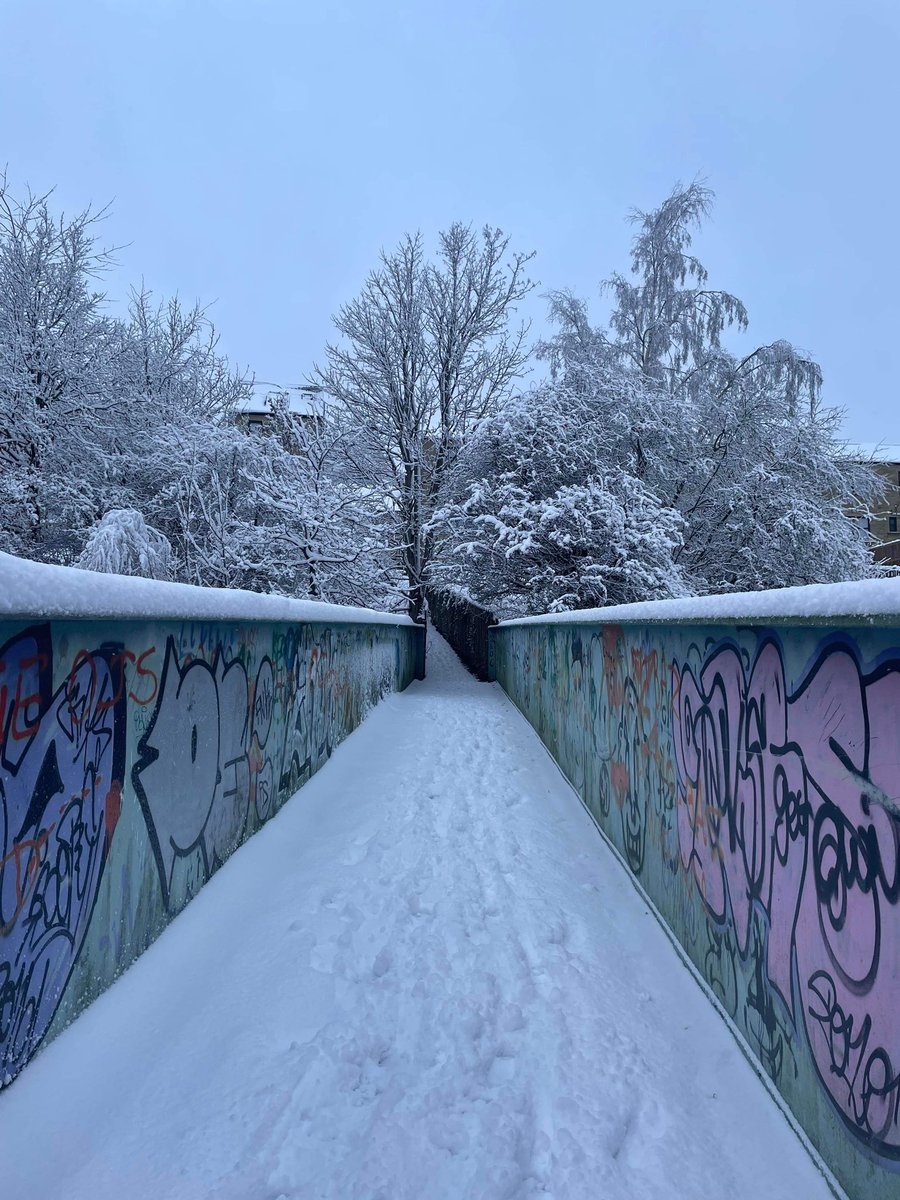 CHFTNHS's tweet photo. Here’s our Liz Preston. She wants to give a #snowshoutout to everyone in Pharmacy on both sites who made it in today. “I only have photos of my walk from Milnsbridge to HRI, not hugely far but mostly uphill.”. That’s far enough for us Liz! 👍 https://t.co/HePA0Jr2oI