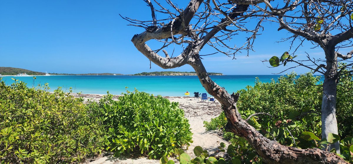 obxadventures's tweet photo. Vieques https://t.co/wIqFc3XZx1