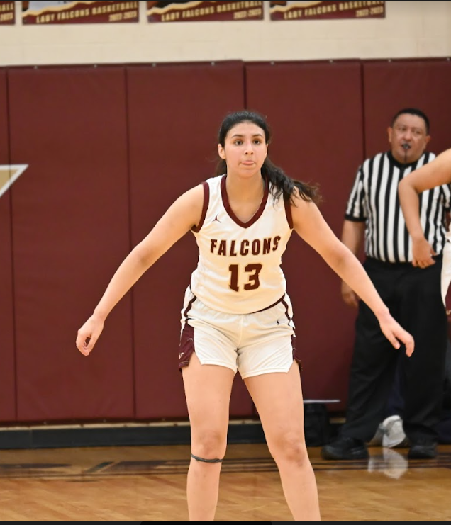 LFHSGirlsBKB's tweet photo. Congratulations Olivia Parra for being selected to represent Los Fresnos in the All VALLEY SHOWCASE and RSL SHOWCASE!!
Very Proud of you Olivia!! https://t.co/xDOsv60P9r