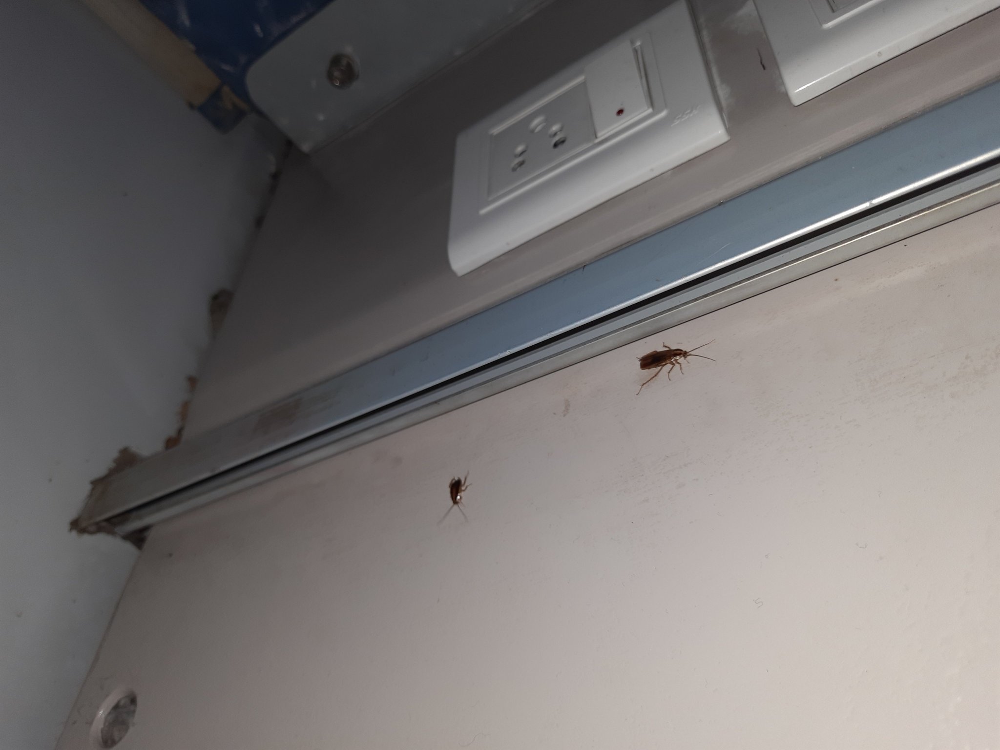 TWINKLE DAS on Twitter: