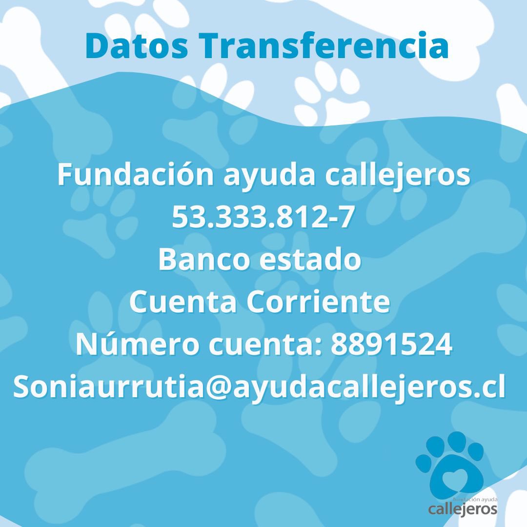 Sonia Urrutia tweet media