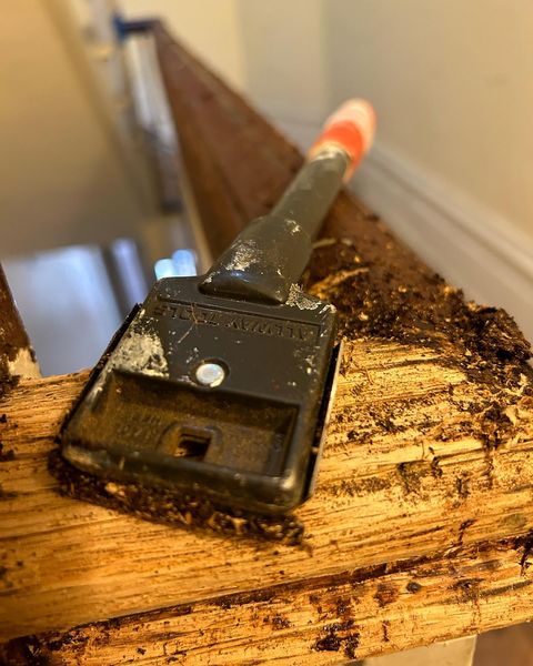 AllwayToolsInc's tweet image. To get heavy-duty scraping done right, you need the right tools on hand.  Ask third generation floorman Izaiah Barrow. #AllwayTools #F42 #F22 #WoodScraper #HeavyDutyTools"
