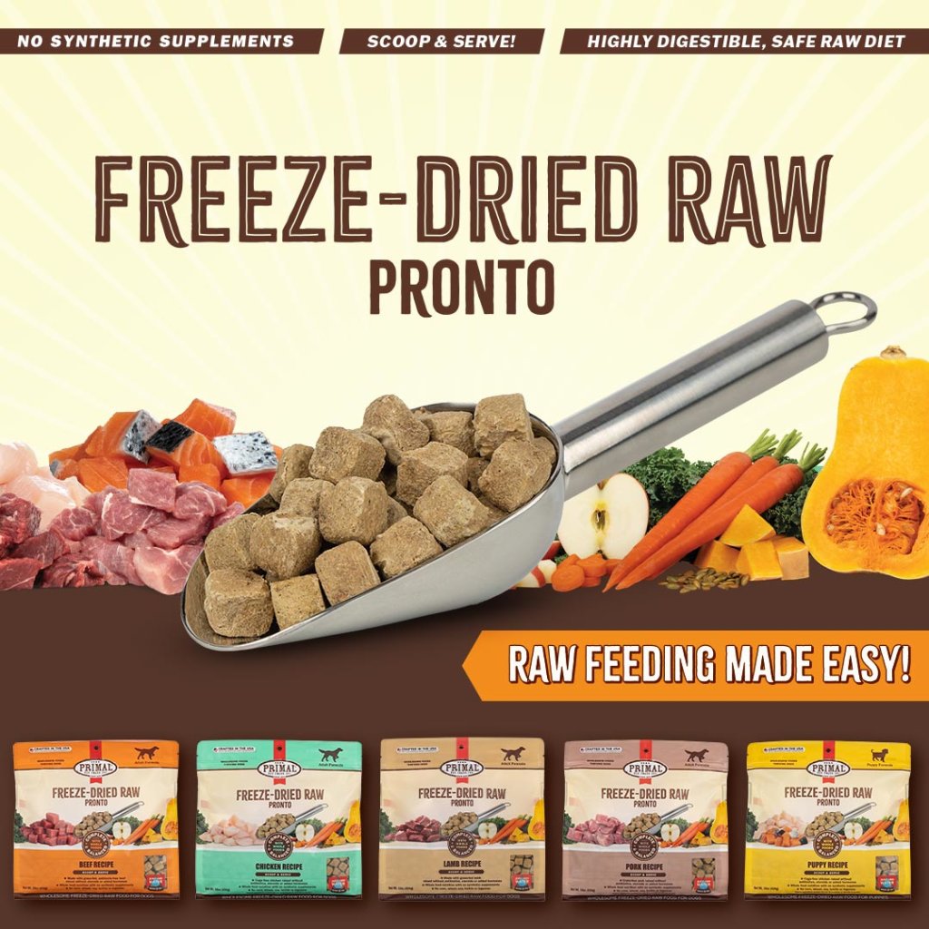 EarthwisePetCC's tweet image. Calling all #adventuredogs! 📣NEW Freeze-Dried Raw Pronto from @PrimalPet is the perfect way to bring fresh, whole-food nutrition along for the ride. Available now at Earthwise!