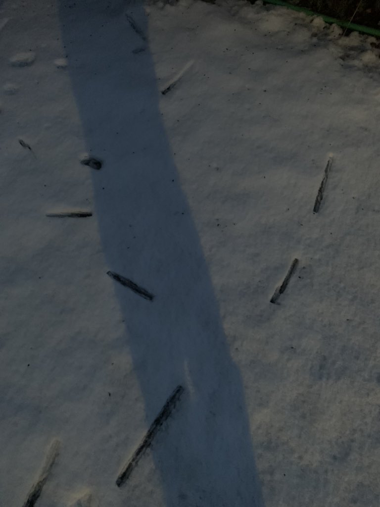 ChrisDB101's tweet photo. Help me out Twitter, what causes these random straight lines in the snow? There’s loads on our street. #AskTwitter #Answerquestions https://t.co/Z4Ms3EGVMP