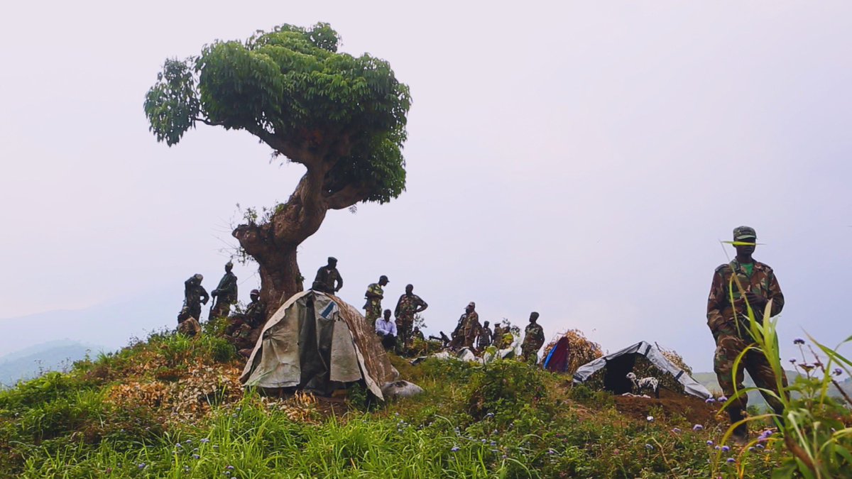 MikeShumFilms's tweet photo. #ARCHIVE โ Eastern Congo (DRC) in 2013, M23 rebels on a hill in Kibumba staring down the regional capital, Goma.
#Congo #framegrab #documentary #cinematography @sonycine @canonusa #war #rebels #Goma https://t.co/sHFEwGWTjt