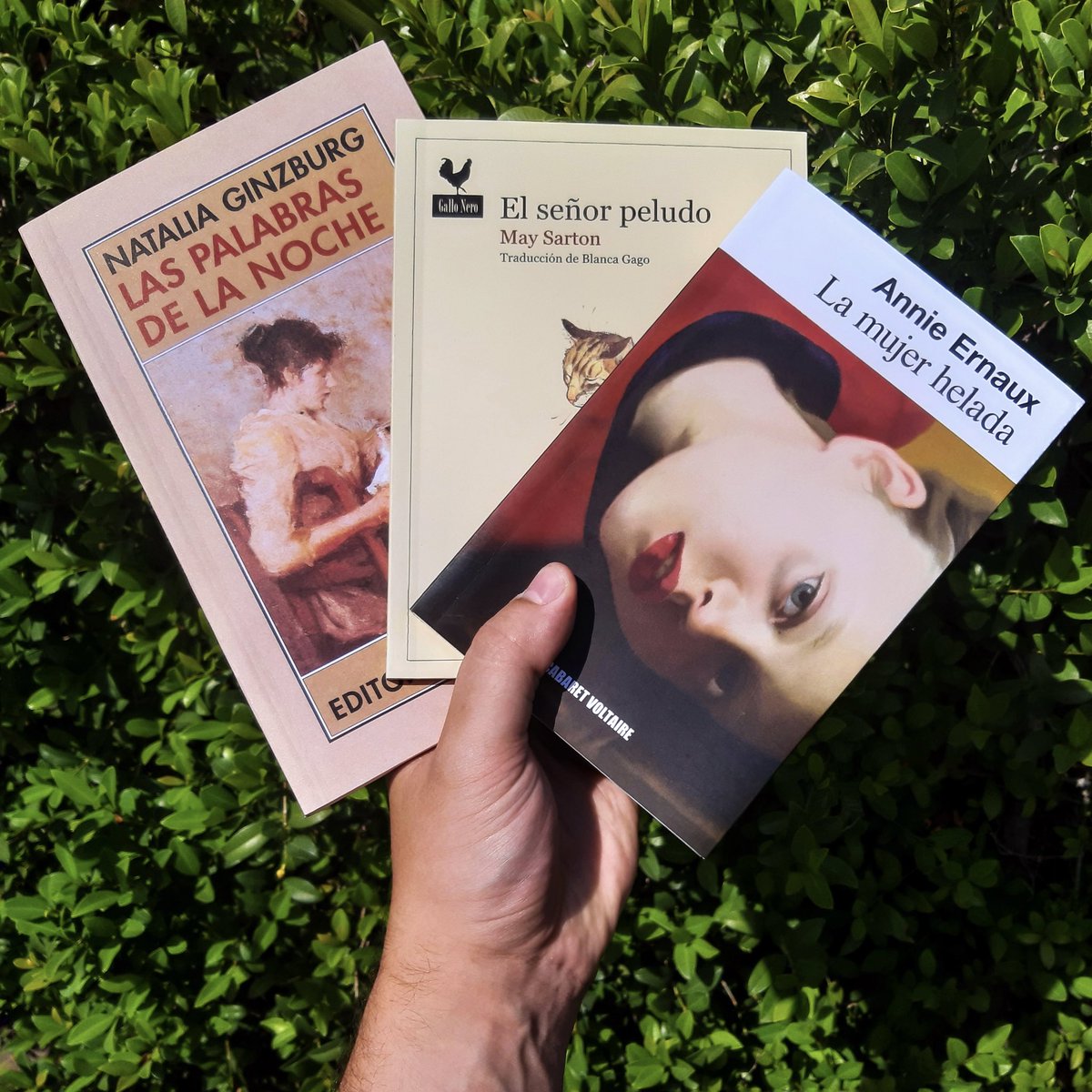 ¡SORTEO! Ganá tres novelas de son novedad de este mes: 

✍🏼Las palabras de la noche de Natalia Ginzburg 
🐱El señor peludo de May Sarton
❄️La mujer helada de Annie Ernaux 

¡Seguinos y dale RT! 🚀 Sorteamos el 16/06