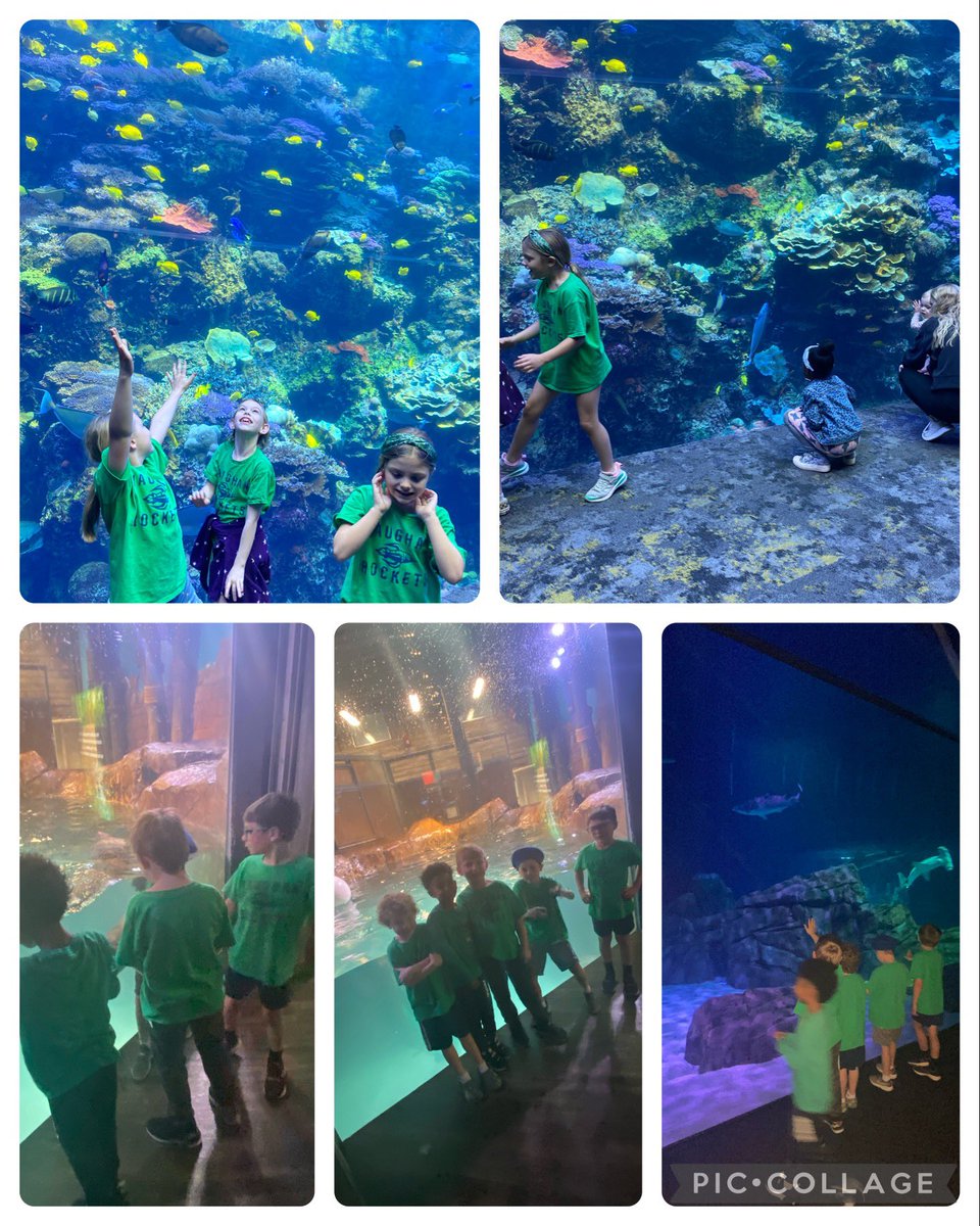 VES 1st Grade (@ves1stgrade) on Twitter photo 1st grade had a great time at <a href="/GeorgiaAquarium/">Georgia Aquarium</a> learning all about the needs of animals! <a href="/VaughanRockets/">Vaughan Elementary</a> #Soaron 1st grade had a great time at <a href="/GeorgiaAquarium/">Georgia Aquarium</a> learning all about the needs of animals! <a href="/VaughanRockets/">Vaughan Elementary</a> #Soaron