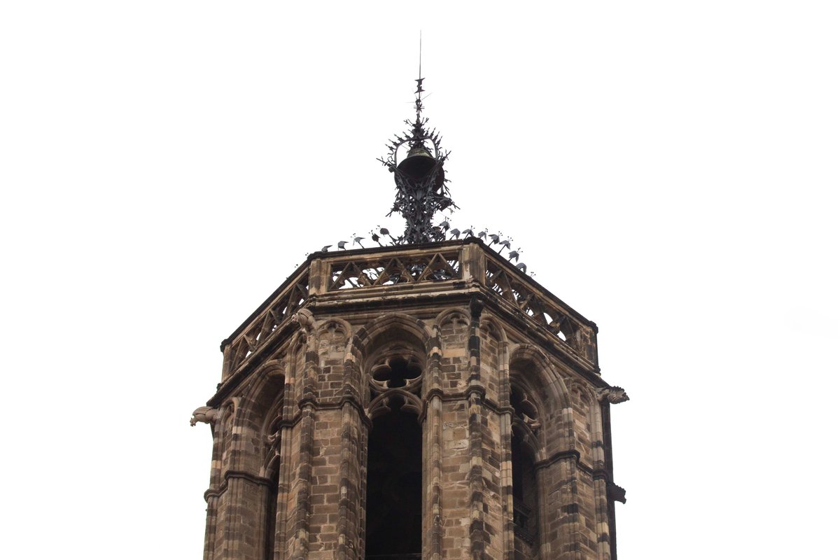 PhotoTjv's tweet photo. Gothic Spire
(Carrer de la Pietat, Barcelona, Spain, September 2018)
#photography #architecturephotography #urbanphotography #cityscapes #architecture #cathedral #spire #churchspire #medievalbuilding #CarrerdelaPietat #BarcelonaCathedral #Barcelona #Spain https://t.co/JcVzYAfBfG