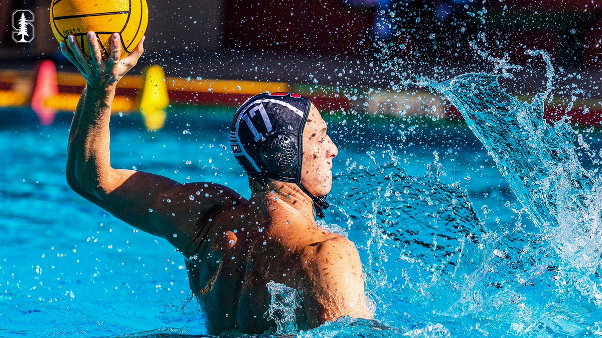 Stanford Men's Water Polo tweet media