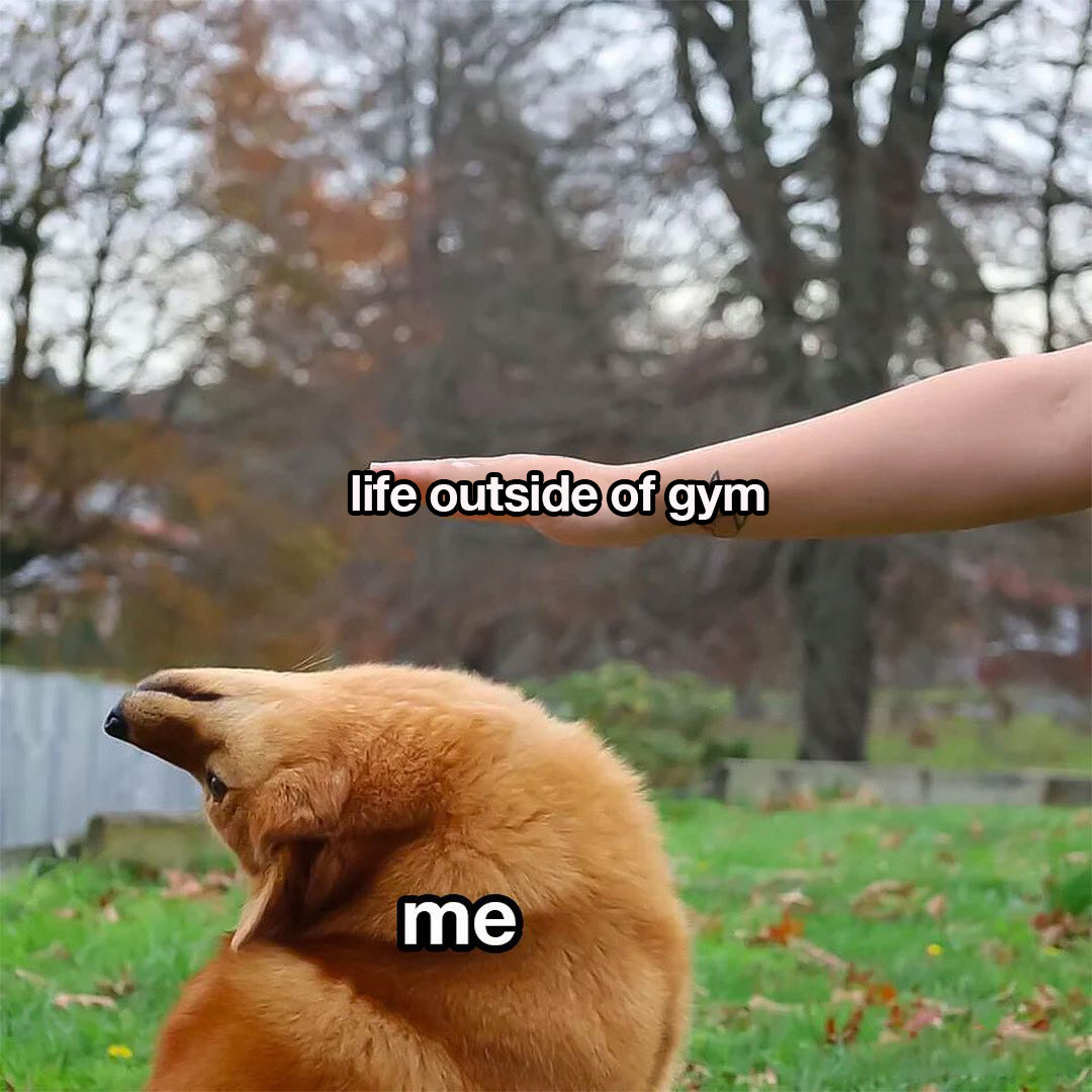 Gymshark's tweet photo. me asf https://t.co/u5wpFmVApr