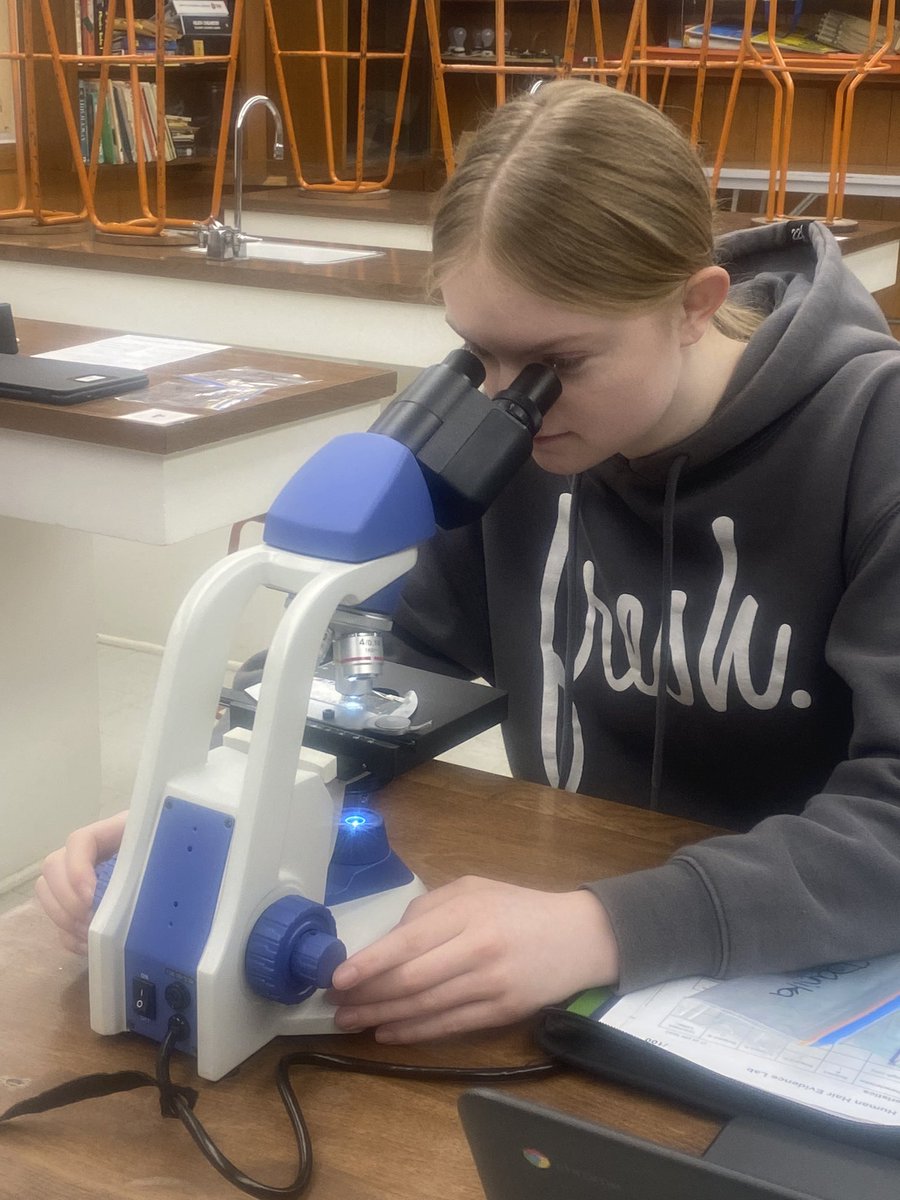 AnnaheimSchool's tweet photo. Forensics searching for the suspect via hair analysis. Will they solve it? https://t.co/CQp78HNzMO
