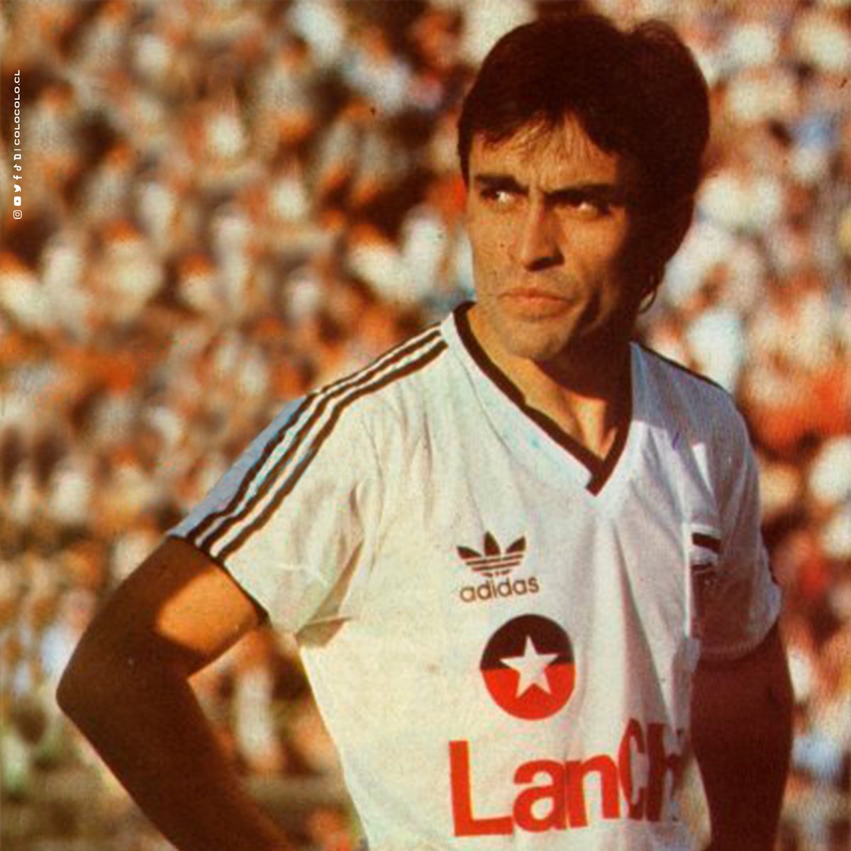 ColoColo tweet picture