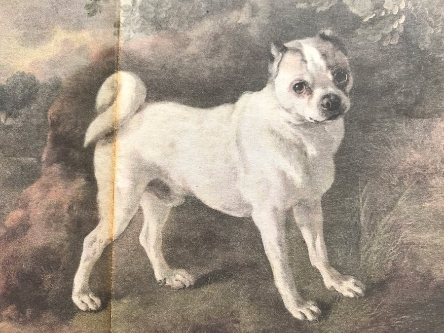Pug, by Gainsborough (1752)… 🐶  #Crufts #dogs #sociallicence #pugs #KennelClub #brachydogs #brachycephalicdogs