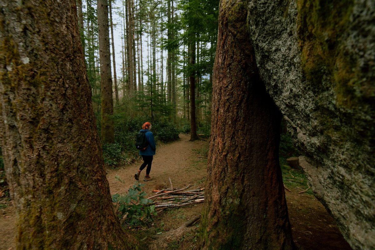 We’re big fans of hikes around here, and thankfully, there are many great trails not far from our campus. Here are some great shots of Rattlesnake Ledge taken this week by our friend Eli. There’s nothing quite like the beautiful Pacific Northwest!