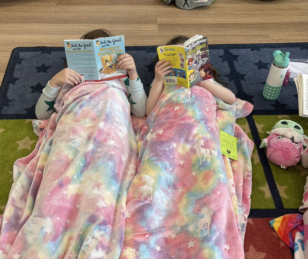 RJohnsonGR2's tweet photo. It’s the perfect day to snuggle up with a great mystery book! ❄️ 📚@GroveAve220 @barrington220 #WeBelong220 https://t.co/LNuCHaT9zw
