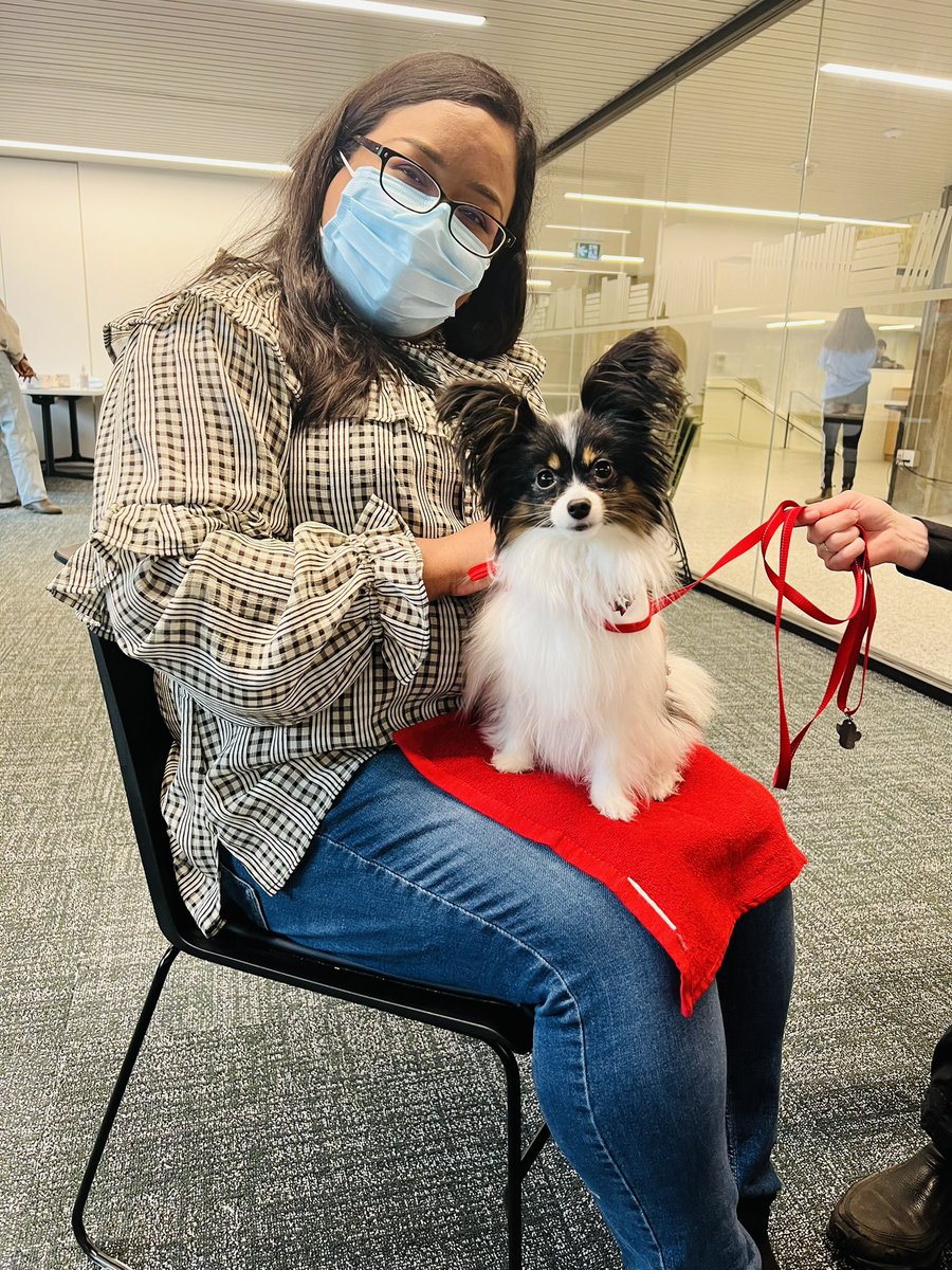 Dr. Bidushy Sadika tweet media