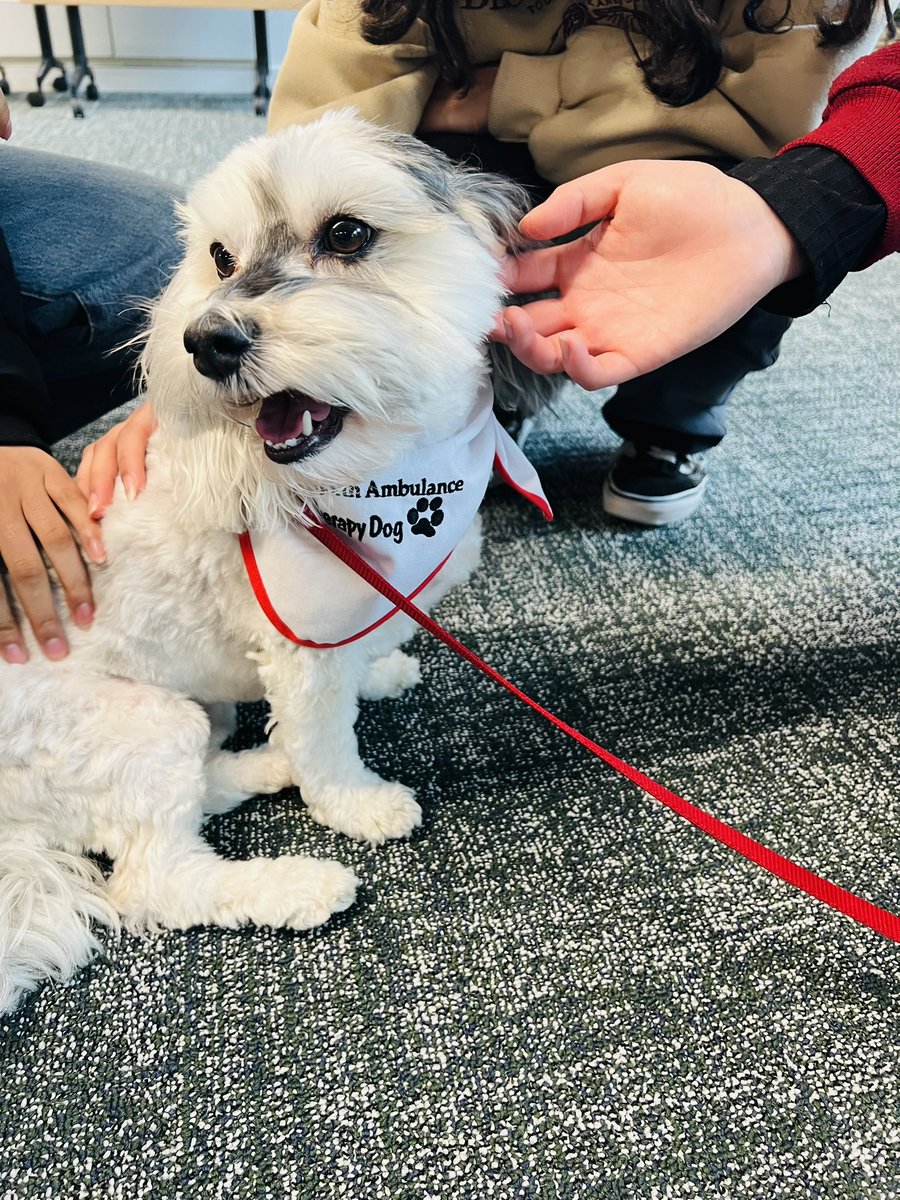 Dr. Bidushy Sadika tweet media