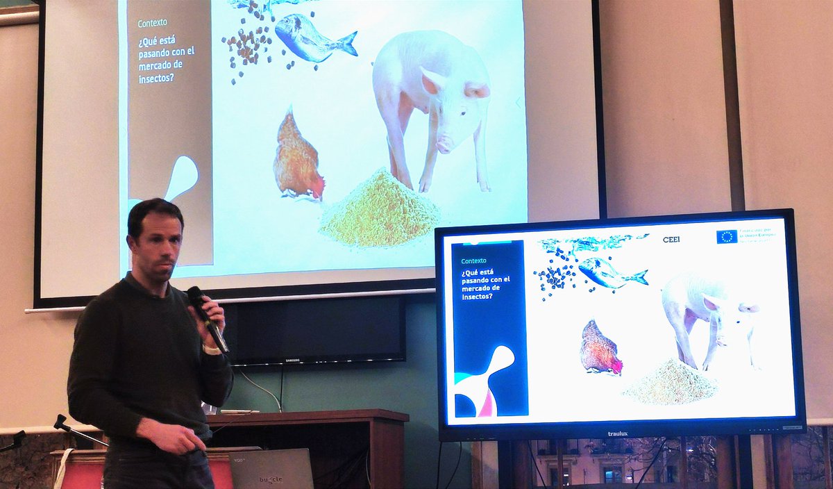 apfeministas's tweet photo. #Bugcle transforma la larva del #Tenebriomolitor
como complemento alimenticio para los animales. Transformar el insecto como materia prima para impactar positivamente en la sociedad y en los ecosistemas. #huomantech2023 https://t.co/gZagTzOqE1