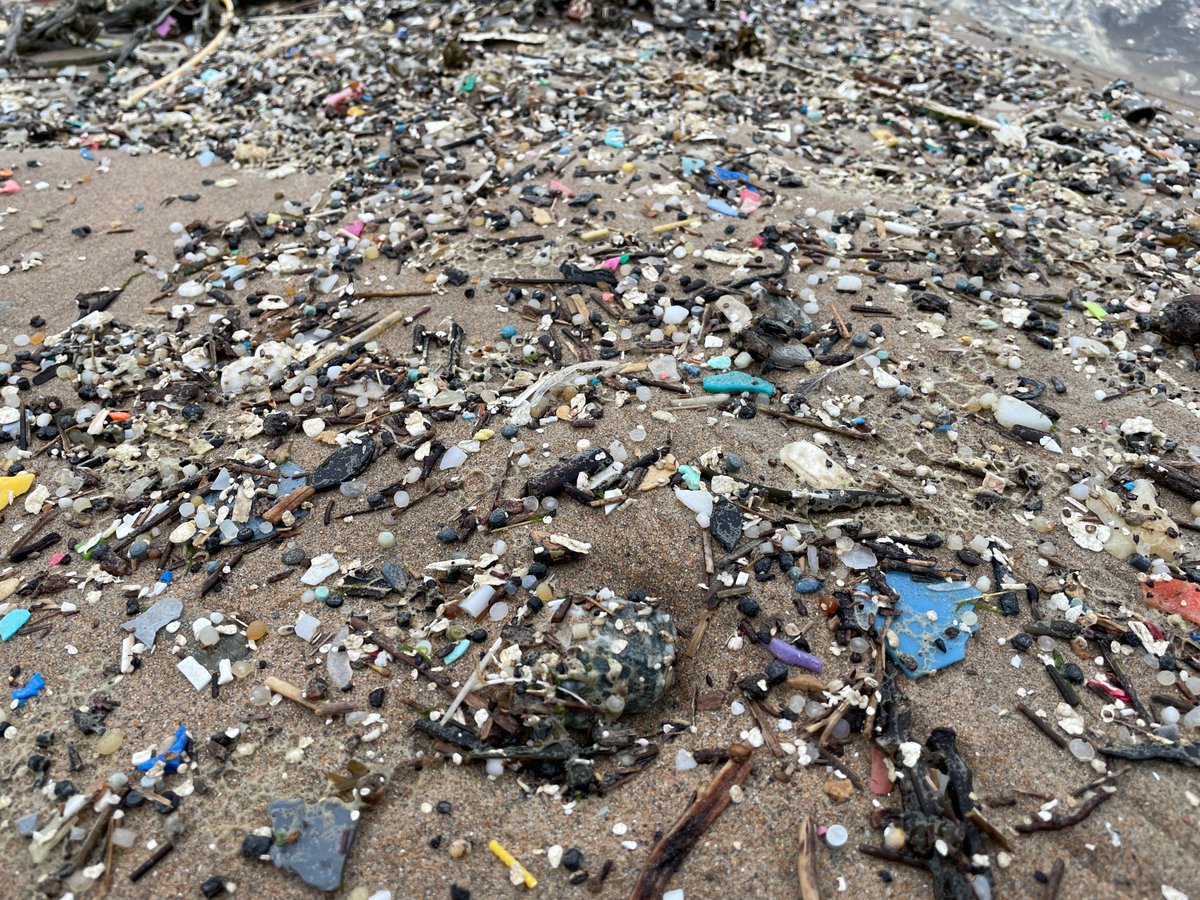 Lego Lost At Sea tweet media